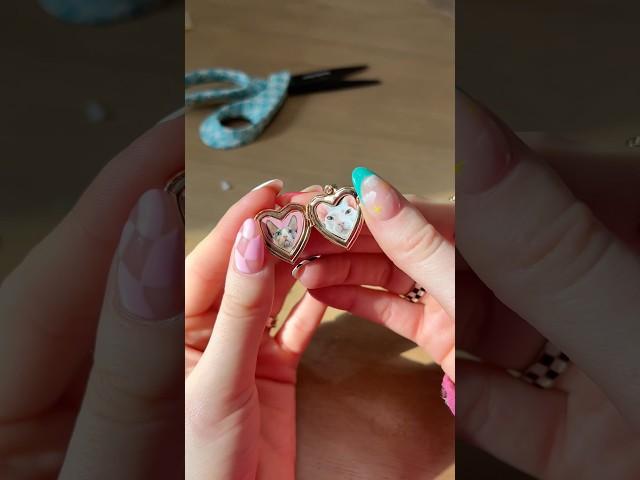 I made my cats into charms#shorts #pets #cats #crafts #sphynx