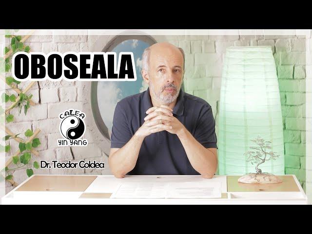 Oboseala - Dr.Teodor Coldea - Calea Yin Yang