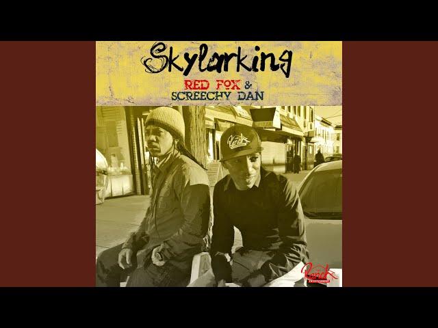 Skylarking