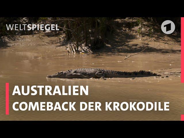 Australien: Comeback der Krokodile | Weltspiegel