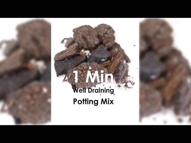 1min Well draining potting mix #pottingmix #indoorplantcare