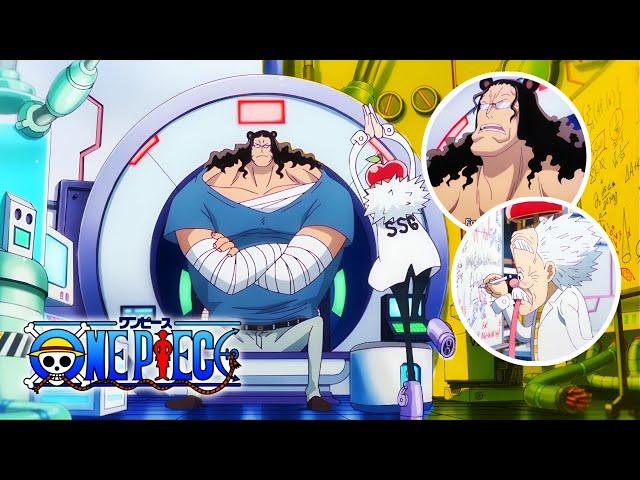 KARASU & MORLEY vs FUJITORA & GREENBULL||Revolutionary Vs Admirals (English Sub) #onepiece #marine