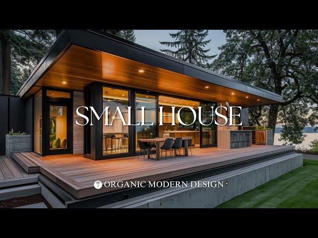 Modern Small House: Organic Modern Interior Design Tips for Contemporary Houses and Small Gardens