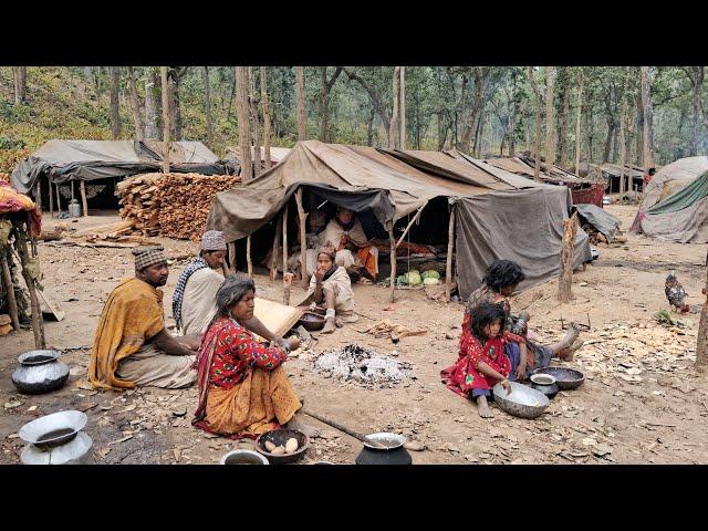 No Home, No Borders: The Incredible Story of Nepal’s Last Nomads || Himalayan Shepherd Life Nepal ||