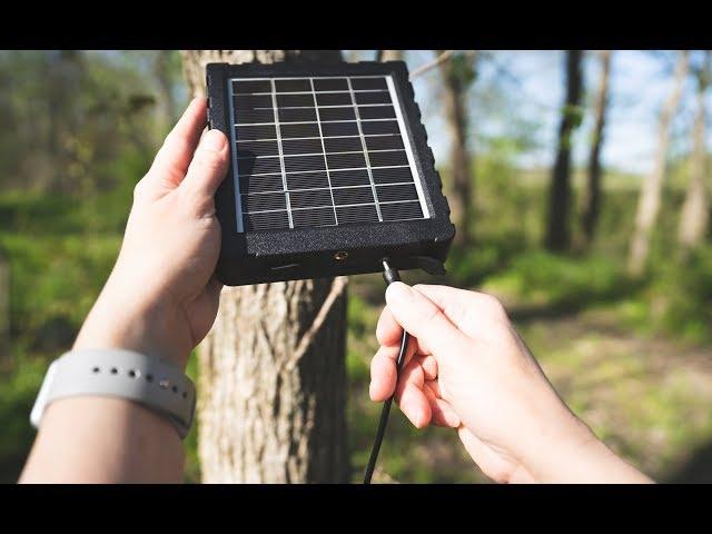 How to Use the Exodus SP18 Solar Panel for Trail Cameras