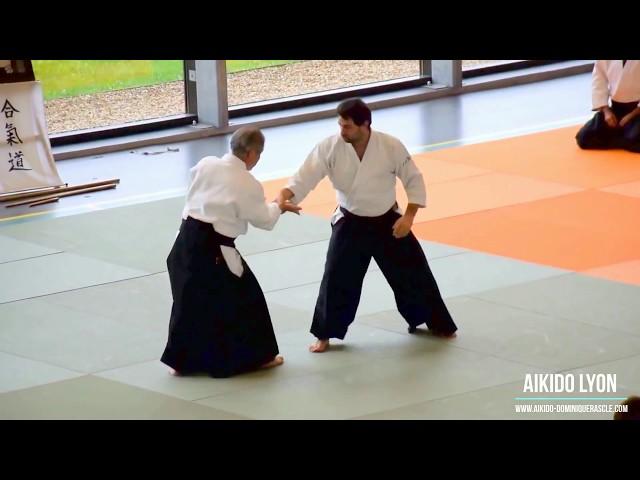 2017/11/10 Aikido course directed by MIYAMOTO Tsuruzo Shihan