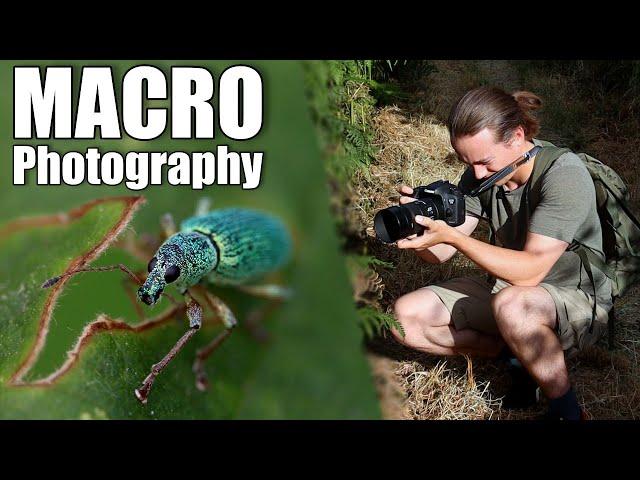 Creepy Crawly Photography Vlog - Sigma 105mm f/2.8 + Canon 7d mark ii