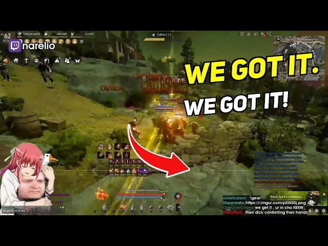 WE GOT IT. WE GOT IT! | Daily BDO Community Highlights