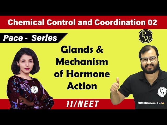 Chemical Control & Coordination 02 | Glands & Mechanism of hormone Action | 11 | NEET | PACE Series