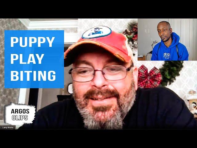 Larry Krohn On Puppy Play Biting | Argos Clips