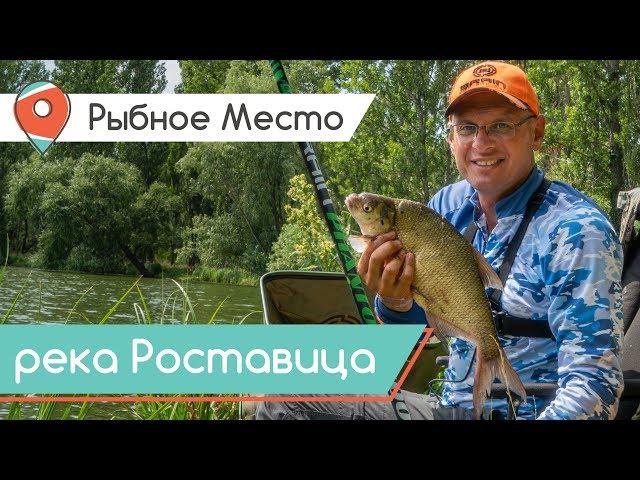 Рыбное место. Поплавок или фидер? Рыбалка не по плану.