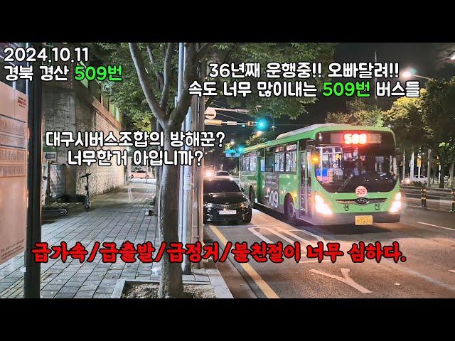 BUS.41 경북 경산 509번 놀이기구 타러 이월드에 갈 필요없다!! 경산/시지 ⬌ 성서/서재를 이어주는 유일한 노선  (경산버스 7311),(2024.10.11) #경산