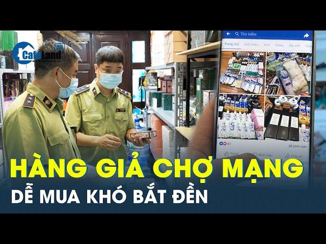 Hàng giả hàng nhái la liệt trên chợ mạng “bủa vây” người tiêu dùng | CafeLand