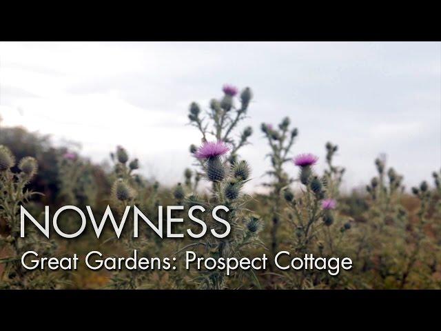 Great Gardens: “Prospect Cottage” by Howard Sooley