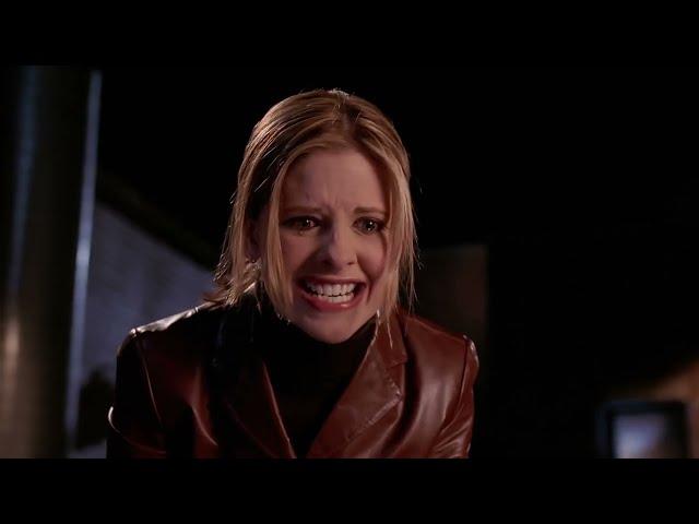 Buffy beats the crap out of Spike (6x13)