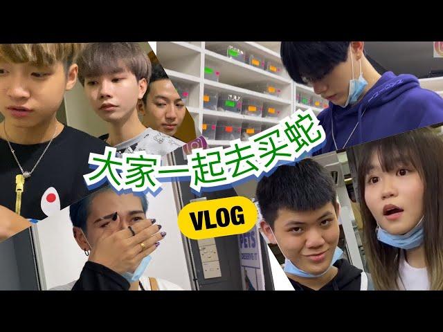 VLOG 【大家一起去买蛇】内容画面残忍善心大侠勿入