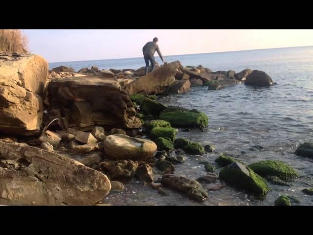 Vagabond in Silivri Istanbul