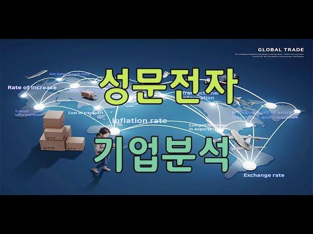 성문전자 기업분석