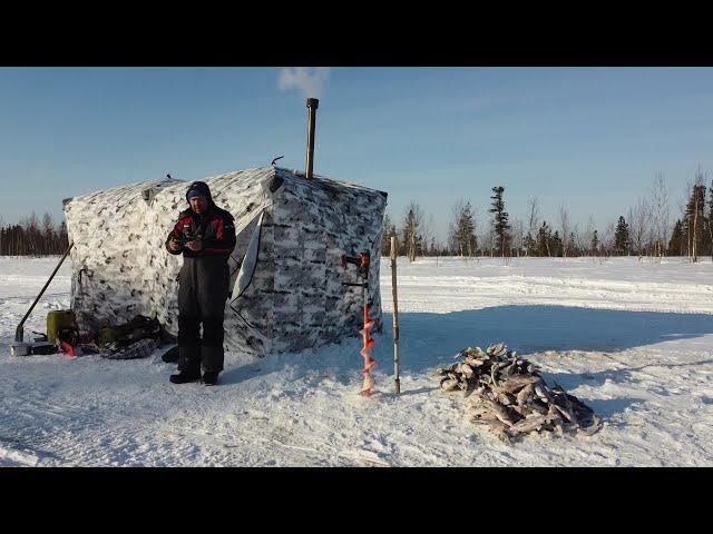 Щука на жерлицы не давала нам продыху, крупная сорога и окунь на мормышку, рыбалка с ночёвкой.