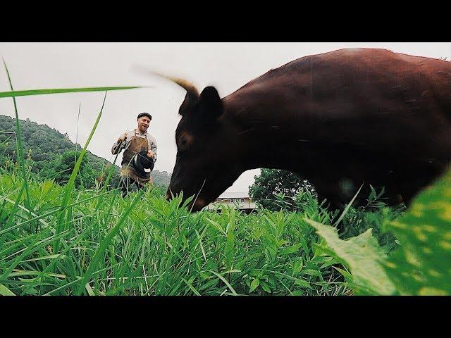 A day in the life of a Permaculture Farmer | Justin Rhodes (MEGA VLOG) Special