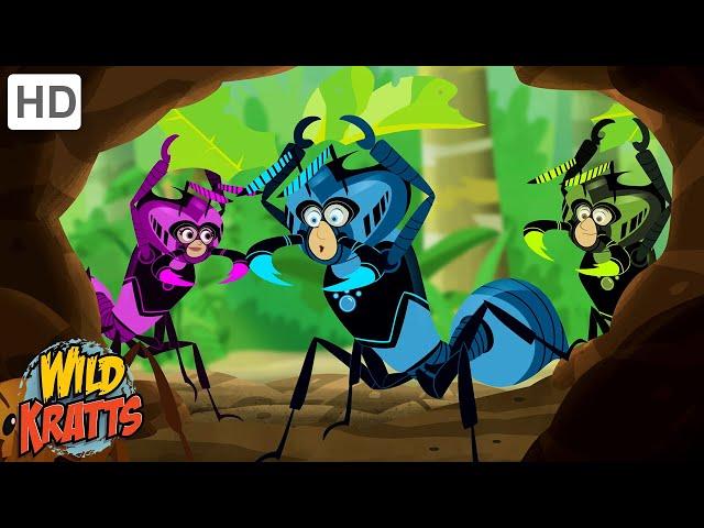 The Real Ant Farm | Inside the Leafcutter Ant's Nest | Wild Kratts