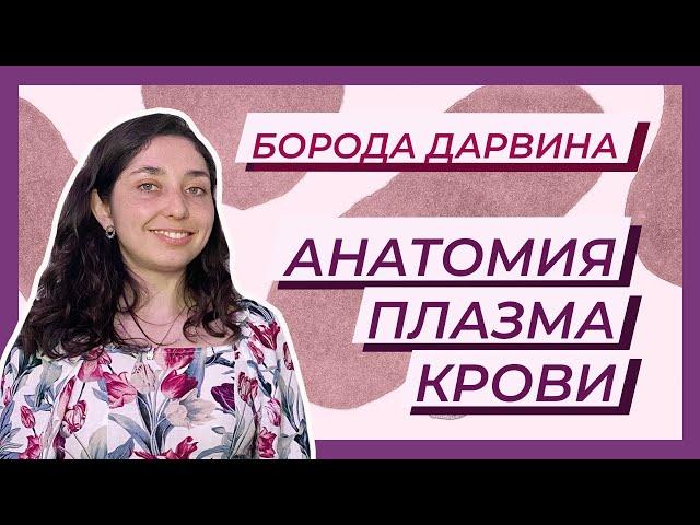 Анатомия — кровь. Плазма крови.