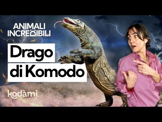 Cosa succede se ti morde il drago di Komodo? Quanto è velenosa questa lucertola gigante