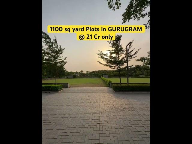 1100 sq yard plot in Gurgaon @ 21cr only. #gurugram #dlf #plot  8851009721