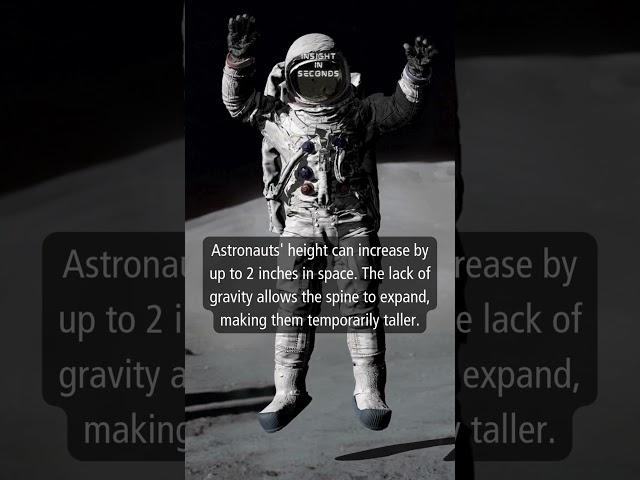 Today's Insight: Astronaut #shorts #facts #information #knowledge #astronaut #space #daily #insight