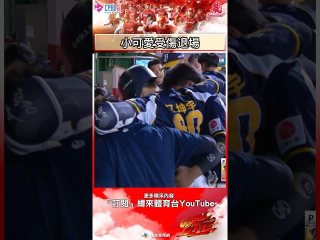 #味全龍主場 小可愛衝過一壘後倒地 需要隊友攙扶退場 希望江坤宇後續並無大礙 #中信兄弟 #味全龍 #中華職棒 #shorts