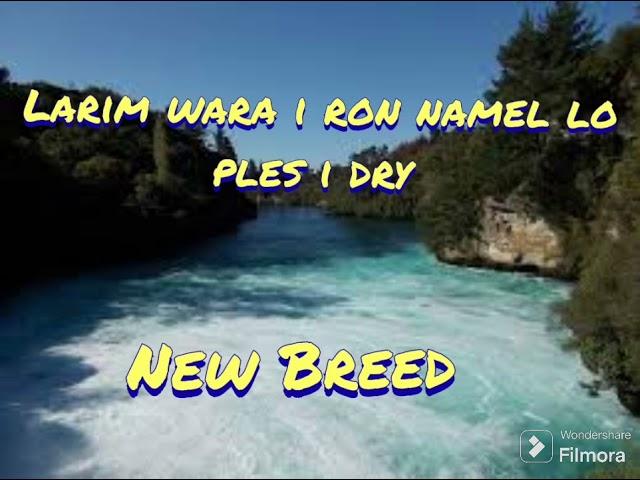 Larim wara i ron namel lo ples i dry - New Breed