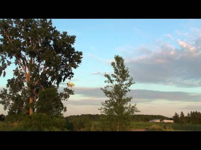 Dave Mullen trimming some trees with the T-rex 700E FBL Microbeast