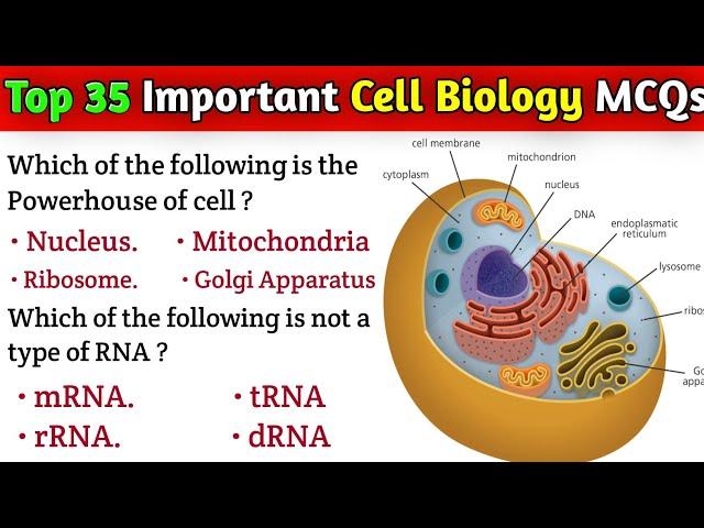 Most important Cell Biology MCQS for entry test|| Biology MCQS