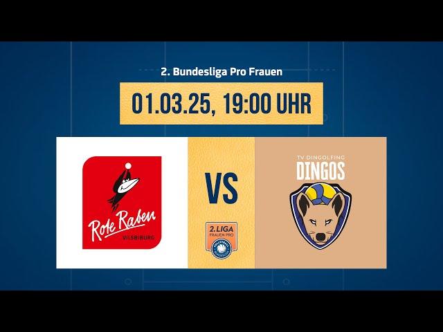 Rote Raben Vilsbiburg – TV Dingolfing (2. Volleyball Bundesliga Pro F 24/25)