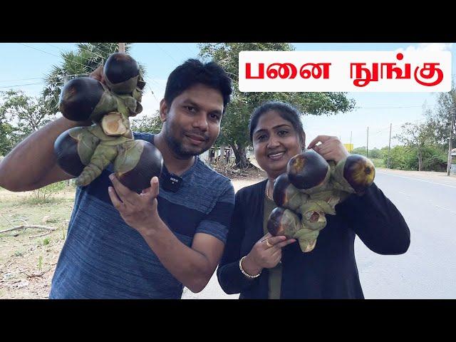 பனை நுங்கு Batticaloa | Sri Lanka Street Food | Tamil Vlogs | Rj Chandru & Menaka