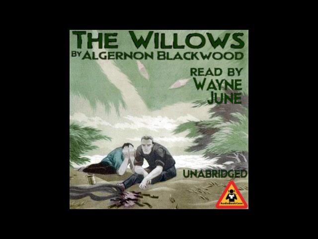 'The Willows' by Algernon Blackwood. Read by Wayne June