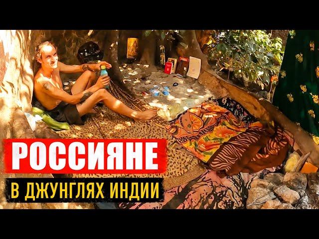 ШОК!!! Россияне живущие в джунглях Индии. ГОА 