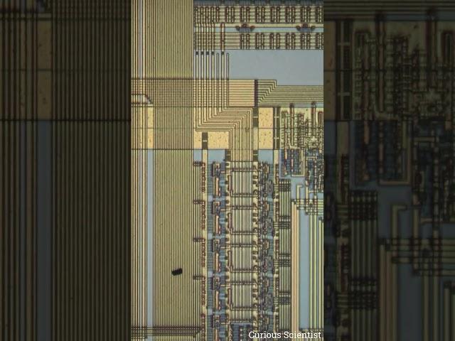 #Intel #486 #80486 #microprocessor #cpu #microscope