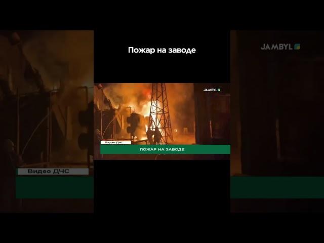 Пожар на заводе #shortvideo #shorts #jambyl #zhambyl #жамбыл #jambyltv #жаңалықтар #жаңалық #новости