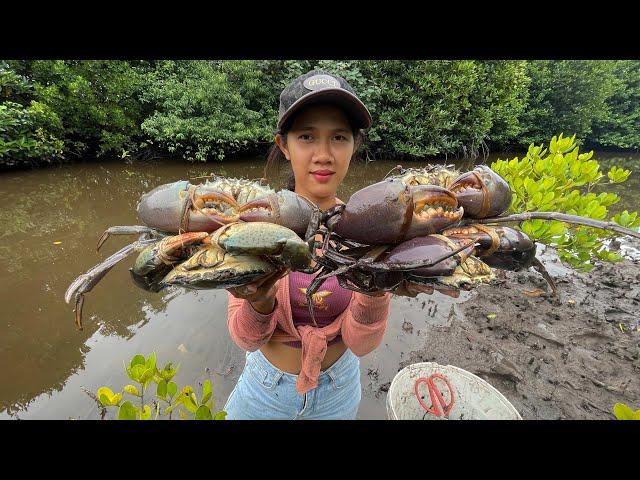 Unique Fishing - Catch Huge Mud Crabs at The Sea Swamp after Water Low Tide