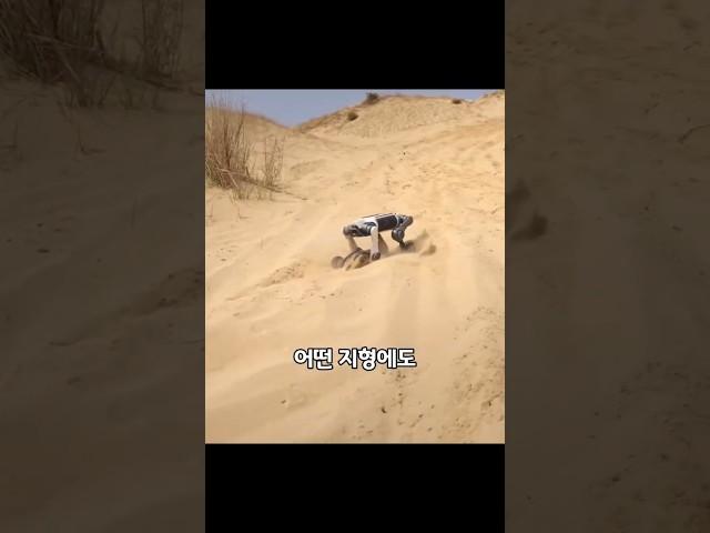 이 로봇개...진짜 어디든 갑니다
