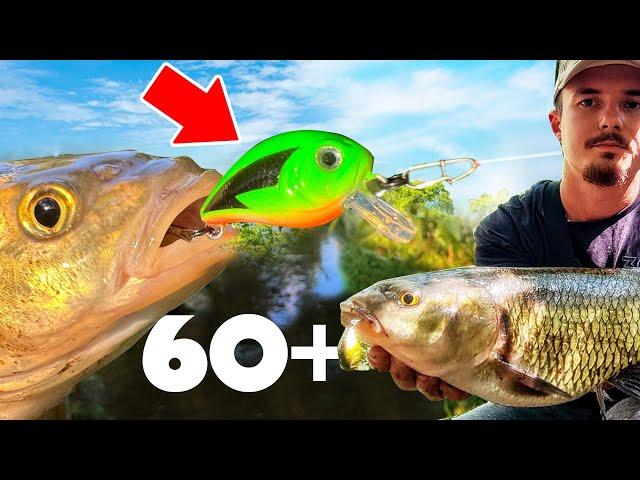 УБИЕЦ НА КЕФАЛИ!!! CHUB BUG TWITCH FISHING ЦВЯТ!