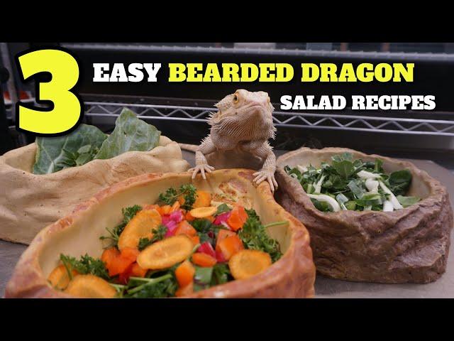 3 Easy Bearded Dragon Salad Recipe Ideas