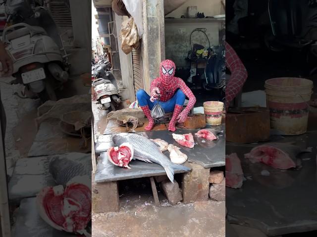 Spiderman Machhi Wala #trending #comedy #shortsvideo #shortvideos #shorts