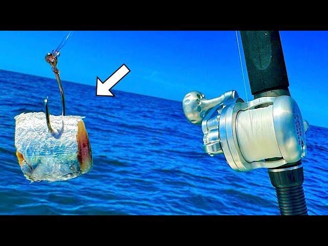 Reef Fishing with CUTBAIT in the Gulf of Mexico! [Multiple Species]