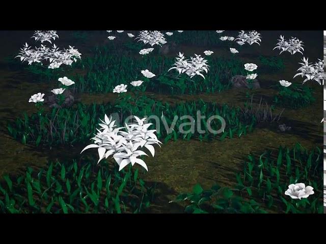 White Flowers Meadow 4k | Motion Graphics - Videohive template