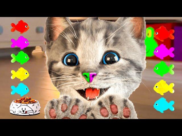 LITTLE KITTEN ADVENTURE - CARTOON KITTY AND ANIMAL FRIENDS ON THE ROAD - LONG SPECIAL