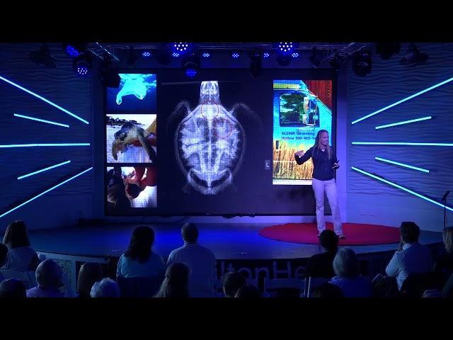 Sea Turtle Survival and Conservation | Amber Kuehn | TEDxHiltonHead