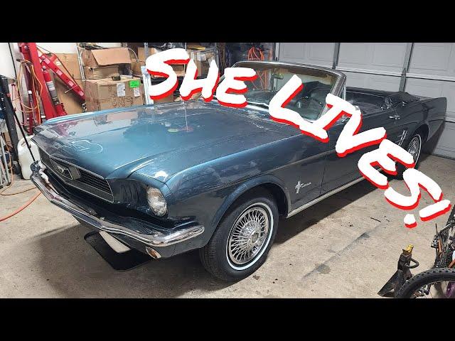 66 Mustang First Start Up