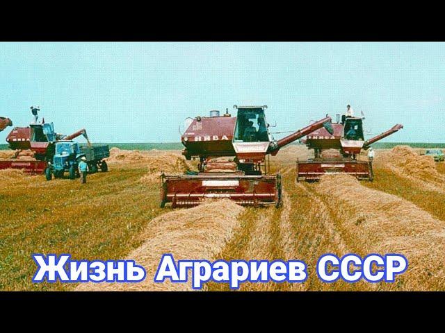 Жизнь аграриев в СССР. Чем занимались колхозы летом.